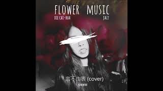 言不由衷 (cover)