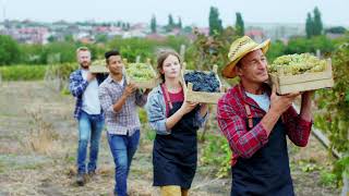 Federdoc Spot Istituzionale Sui Vini A Denominazione Dorigine