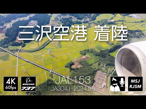 [緑のパッチワークから米軍基地] JAL153便 三沢空港に着陸 [JA304J] #aircraft