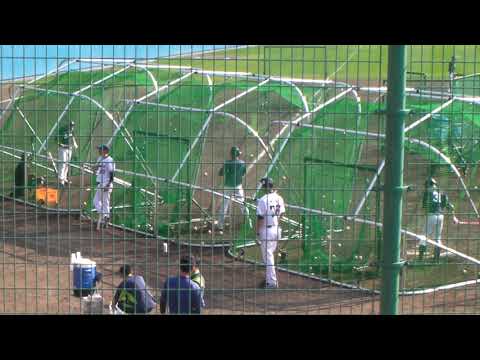 山田哲人、山崎晃大朗、上田剛史 東京ヤクルトスワローズ 2019年沖縄キャンプ フリー打撃 2019/02/02