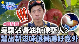 黑金剛蓮霧沾醬油糖像整人?蹦出新滋味讓舞陽直呼好意外?!【#請問今晚住誰家】體驗篇 20210330 EP337 Part3 竇智孔 王彩樺 舞陽 賈斯汀
