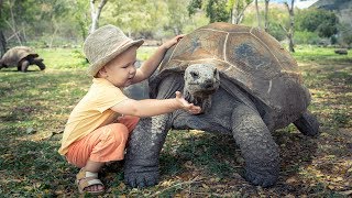 Zwierzęta W Zoo