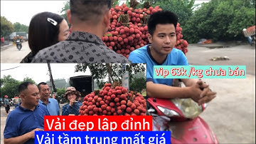 Giá vải tại Biên Sơn ,Lục Ngạn  7/6/2024