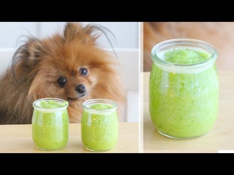 DIY Green Smoothie FOR DOGS! Healthy Dog Treat Recipe | Homemade Dog Treats Recipe