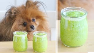 DIY Green Smoothie FOR DOGS! Healthy Dog Treat Recipe | Homemade Dog Treats Recipe