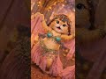 silly cat dance #toddler #funny #shorts