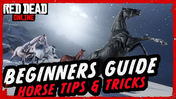 ULTIMATE HORSE GUIDE - Red Dead Online Beginners Guide to Horses