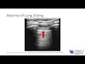 Keyword Review: Respiratory: Lung Ultrasound - (Dr. Bowe)