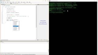 Haxe Tutorial: User Input