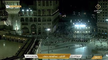 سورة النحل - عبدالودود حنيف