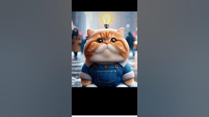 котик и бургер мем#