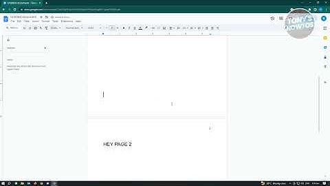 How to Add Roman Page Numbers in Google Docs (2025)