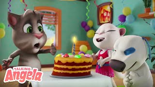 Time For Cake Happy Birthday Talking Tom And Talking Angela Cartoon