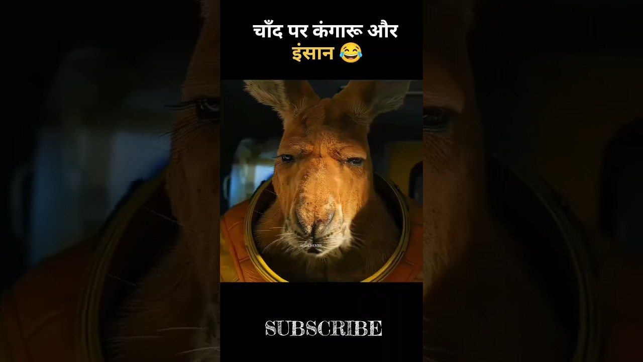 😂 चाँद पर कंगारू और इंसान # #movieexplanation #movie # #actionmovie # #hindiexplanation #comedy