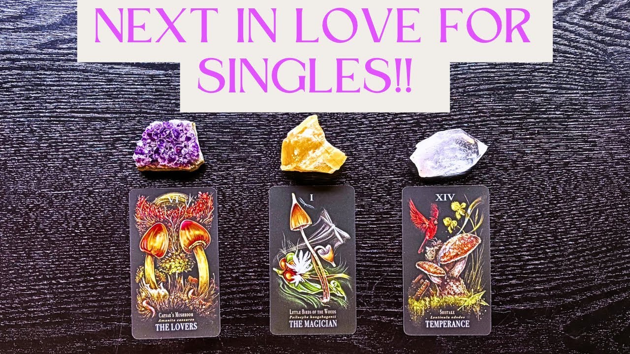 🌹SINGLES: What’s NEXT In Love & Romance?❤️Pick-A-Card❤️
