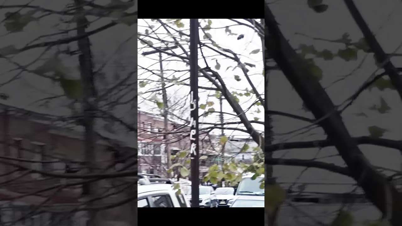 photo taken by Sick Cents utv Bronx NYC graffiti