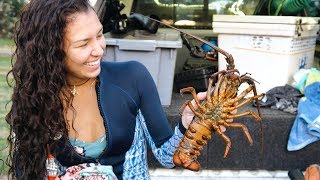 Caught her FIRST LOBSTER ! + a Peanut CHILLI CRAYFISH Cook Up