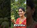 Planting a Seed, Growing Happiness! | My Guava Tree Journey | Lavanya Rakesh Village Life