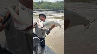 Último Día para PESCAR ⛔️💀