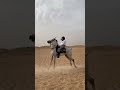 تكبيش وحش اللعبه   اكسبلور خيل 