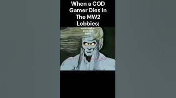 Call of Duty MW2 Lobbies in a Nutshell meme