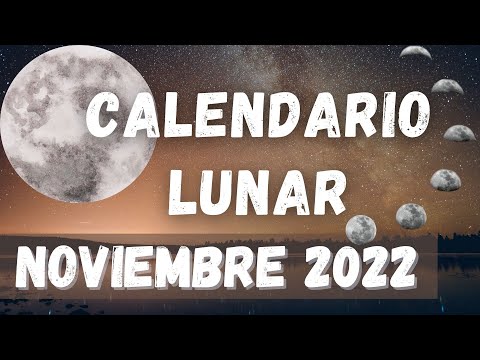 Video: Luna Nueva Noviembre 2022