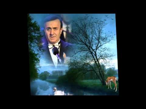 Ali Osman AKKUŞ-Bir Bahar Akşamı Rastladım Size (HİCAZ)R.G.