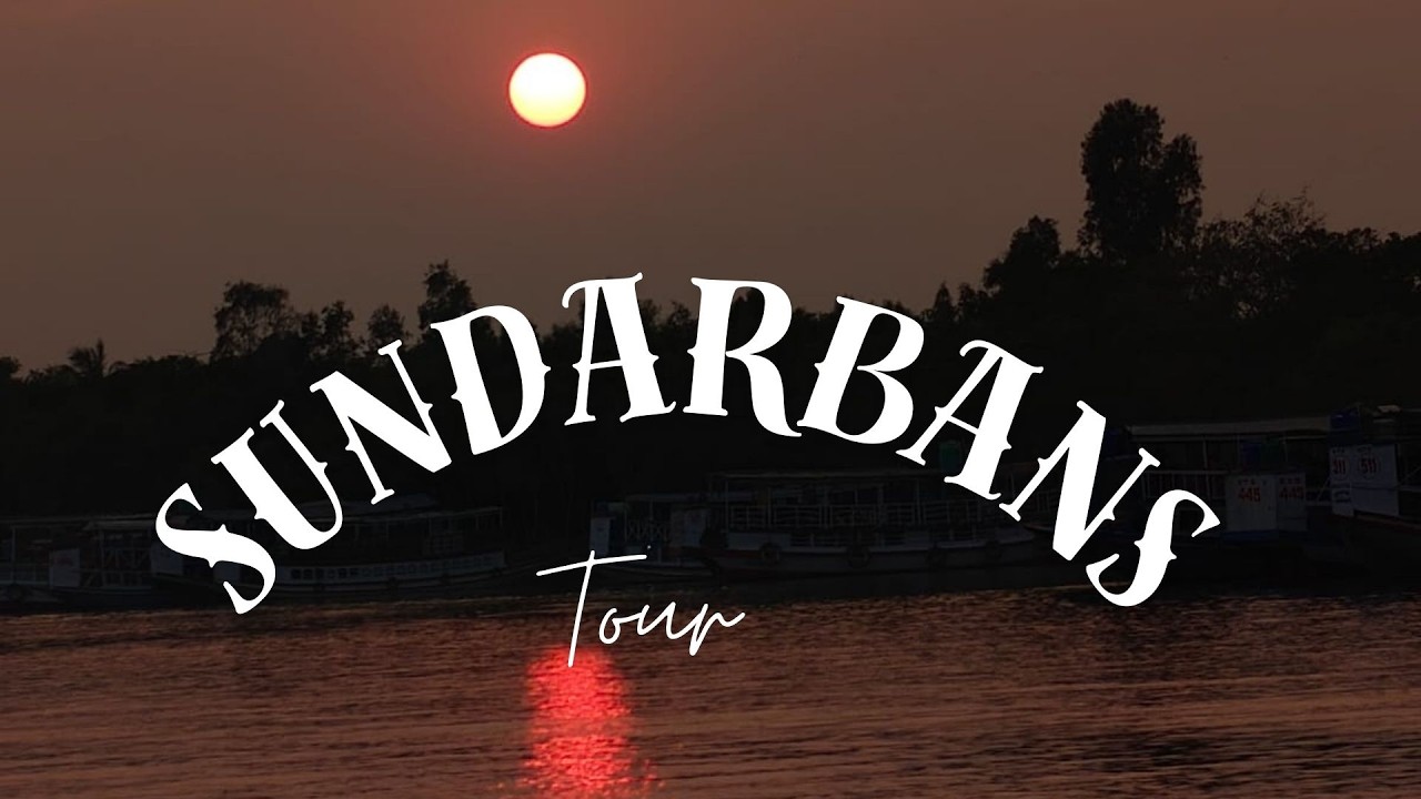 শীতকালে সুন্দরবন ভ্রমণ || Kolkata To Sundarbans Tour 2026|| Ep -1 || My first vlogging video !!