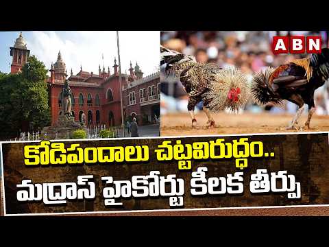 కోడిపందాలు చట్టవిరుద్ధం.. మద్రాస్ హైకోర్టు కీలక తీర్పు | Madras HC Key Decision on Kodi pandalu - ABNTELUGUTV