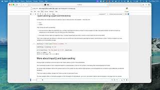 python input function