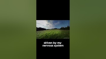 Ego dissolution MADE ME DO THIS #psychedelicexperiences