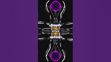 What is Quantum Superposition?