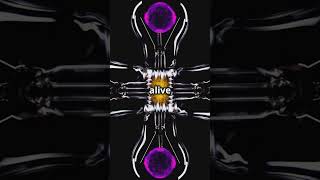 What is Quantum Superposition?