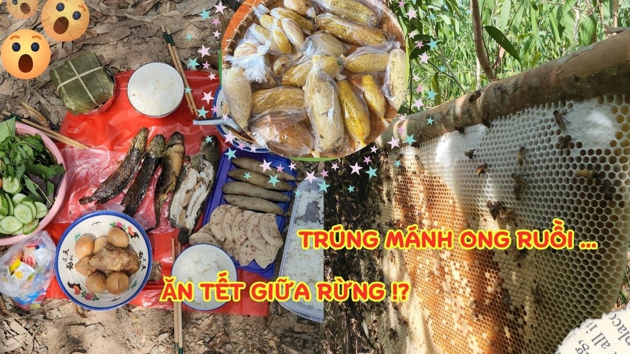 Trúng Mánh Bắt Ong Rừng Và Làm Cơm Ăn Tết Giữa Rừng| Lê Dũng RTMS || Wild Honey