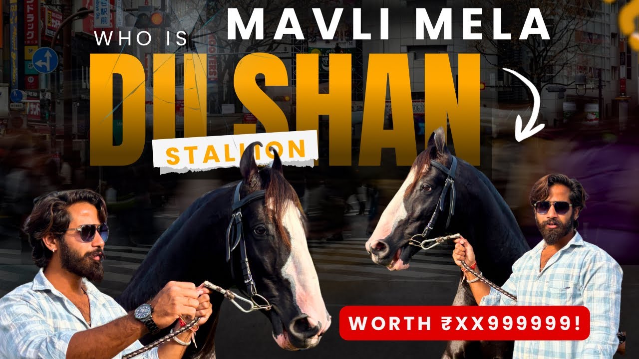 Legend stallion at मावली मेला  || Mavli mela 2025😍😍 full enjoy 