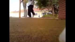 Cwalk 2 Way - Lil A & Lil Dim Sum - Zero Gravity
