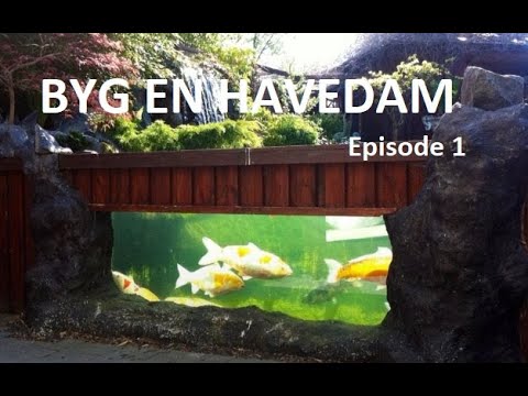 Video: Hvordan Man Dyrker Byg