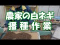 農家の白ネギ播種のやり方20/2/15#888