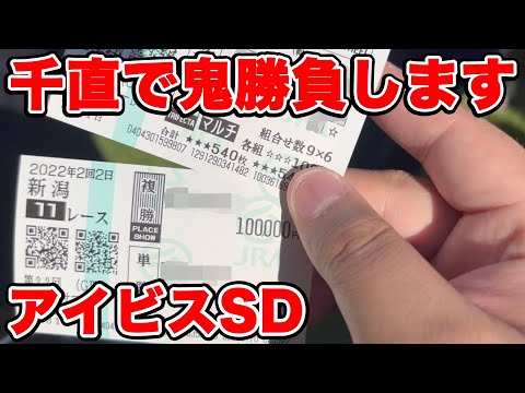 【競馬に人生賭けた大勝負】初新潟競馬場で千直鬼勝負してみたら・・・波乱の様子を刮目せよ！【ギャン中】【Horse Racing】#競馬 #アイビスサマーダッシュ #大勝負