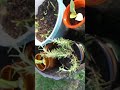 May 18, 2022 good morning garden greetings