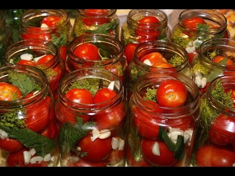 рецепт консервирование помидоров сварить рецепт консервирование помидоров