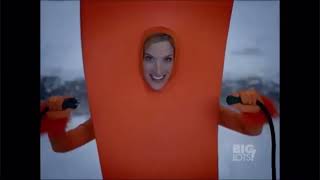 Big Lots Commercial History