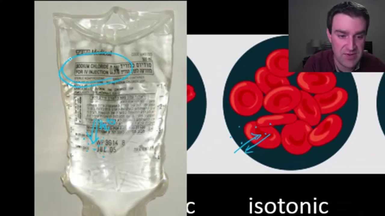 Intro to osmosis - YouTube