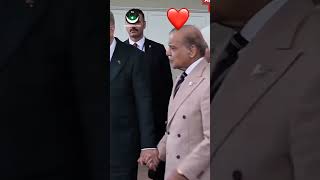 Gerçek Dostla Yolda Böyle Yürünür Stan Başbakanı