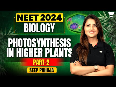 Photosynthesis in Higher Plants | Part 2 | NEET 2024 | Seep Pahuja