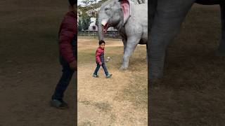 Download Lagu Mere Jigar Ka Challa ❤️ MP3