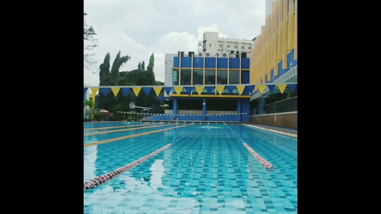 50 m berenang gaya bebas buat pemula #berenang #swimming #pemula #gayabebas #freestyle #jakarta