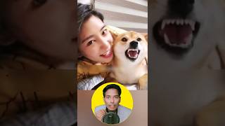 Why Won’t This Dog Let His Owner Come Near? 😢🐶 #dog #rescue #animals