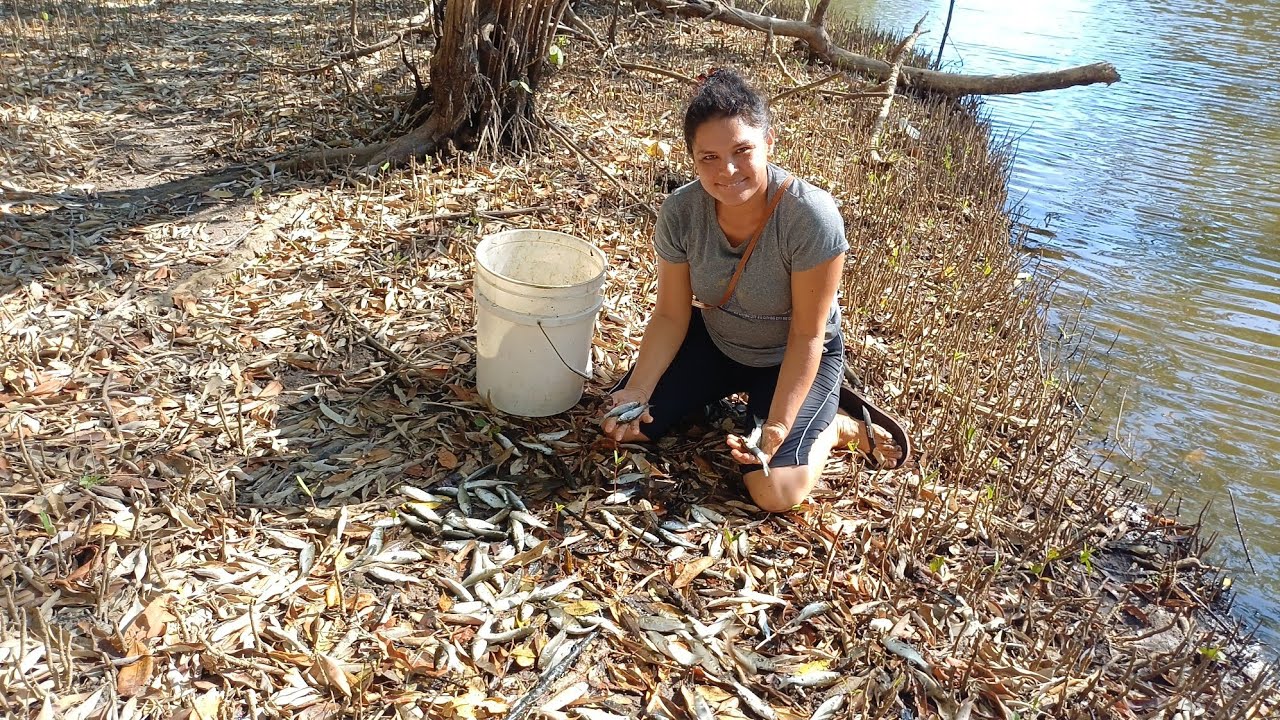 SON MUCHOS PESCADOS Y LO MEJOR DE UNSOLO ATARRAYASO 🐠🐠🐟🐠