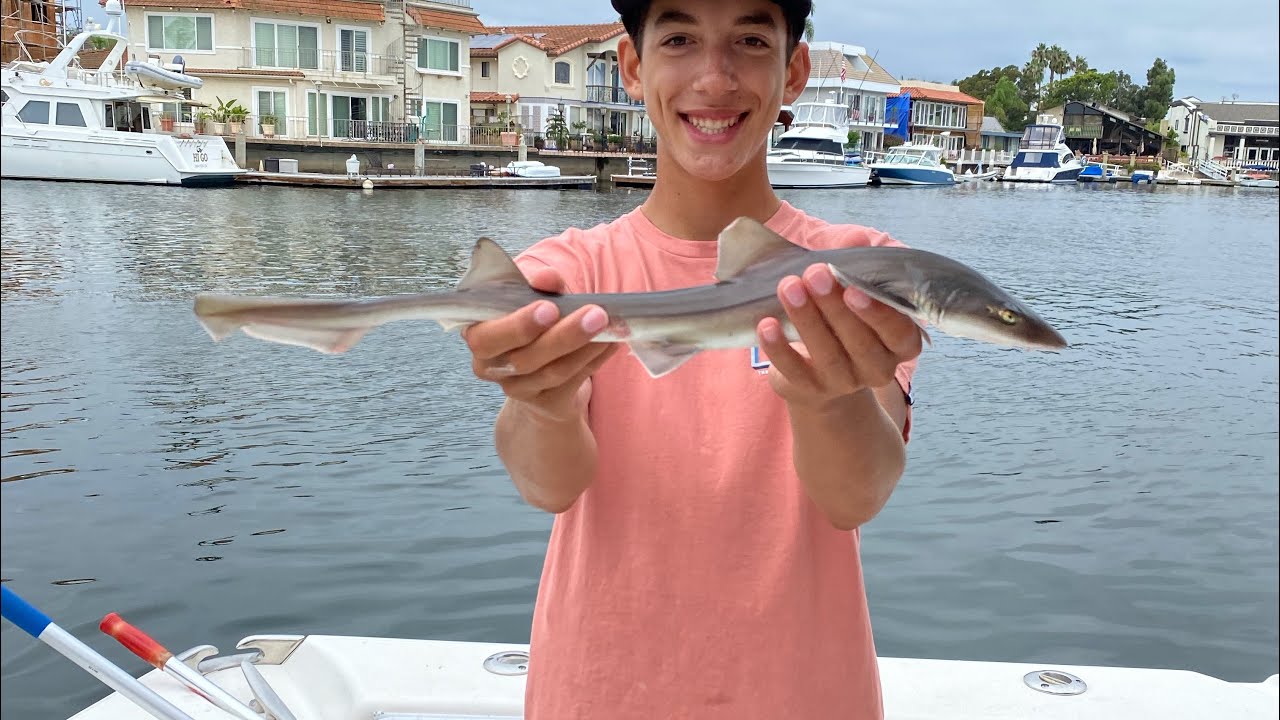 Fun Day of Fishing in Huntington Harbor